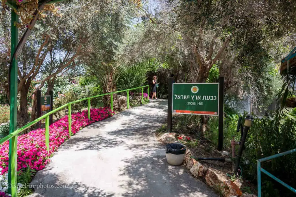 Израильский холм с израильскими растениями в парке утопий орхидей, Израиль