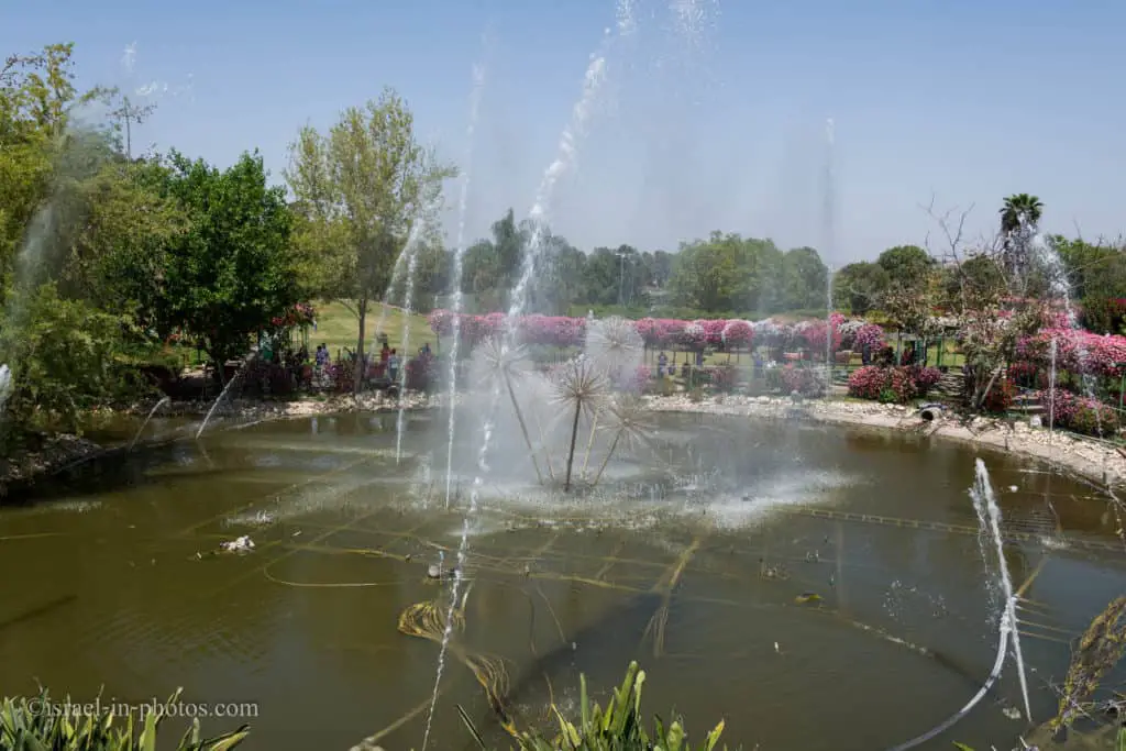 Musical Water Fountain