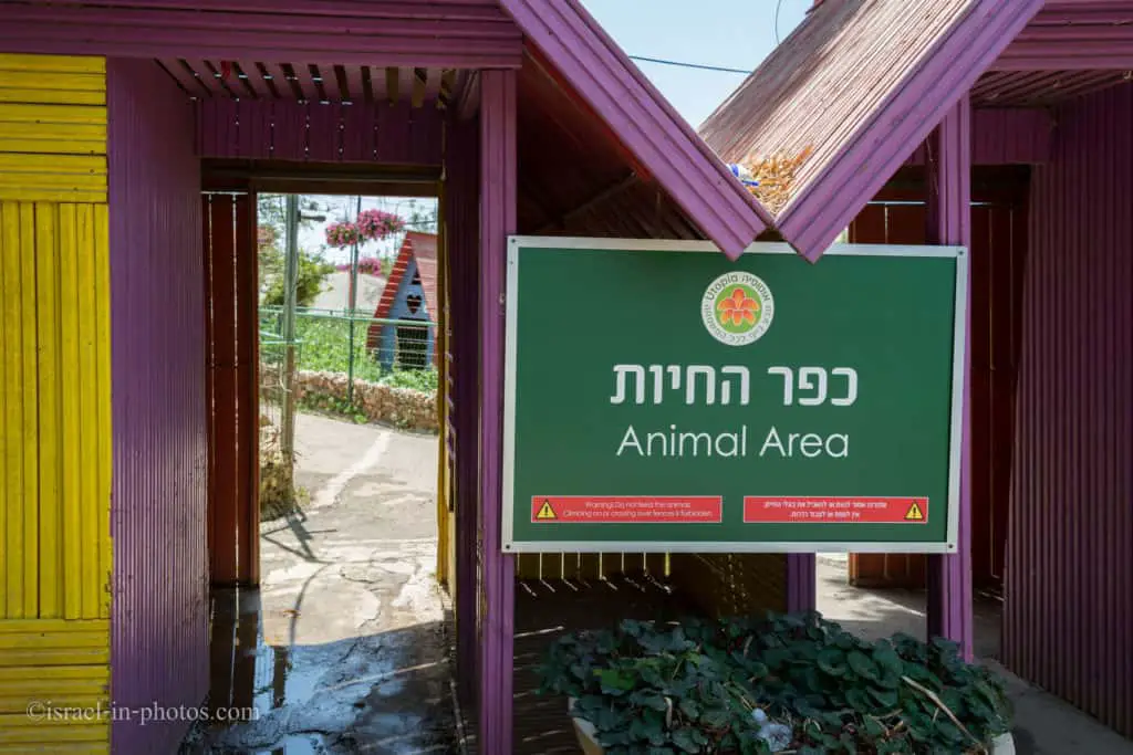 Animal Area, Utopia Orchid Park, Israel