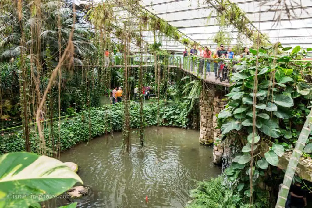 Tropical Rain Forest at Utopia Orchid Park
