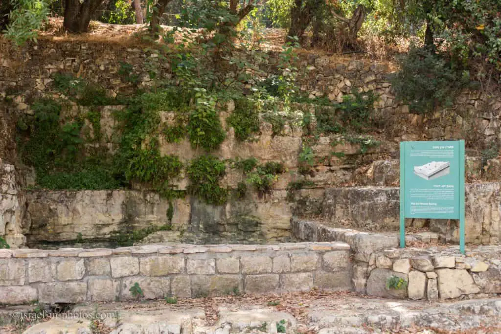 Ein Hemed Spring