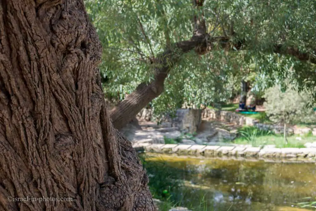 Ein Hemed National Park