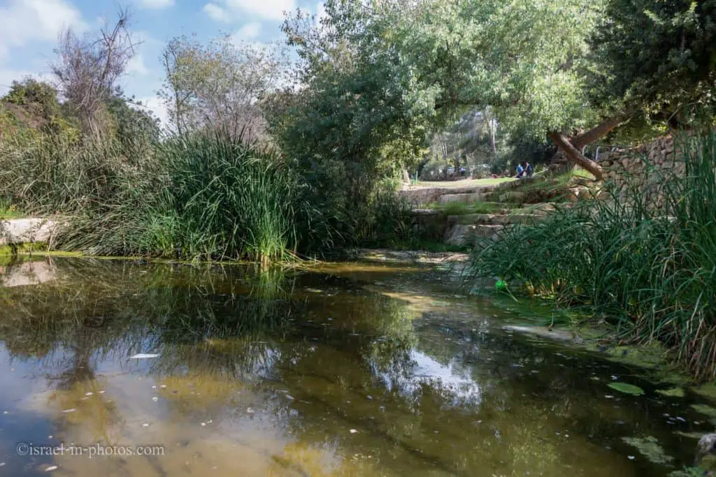 One of the ponds