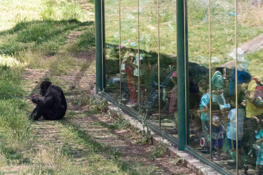 Visiting Jerusalem Biblical Zoo, Israel