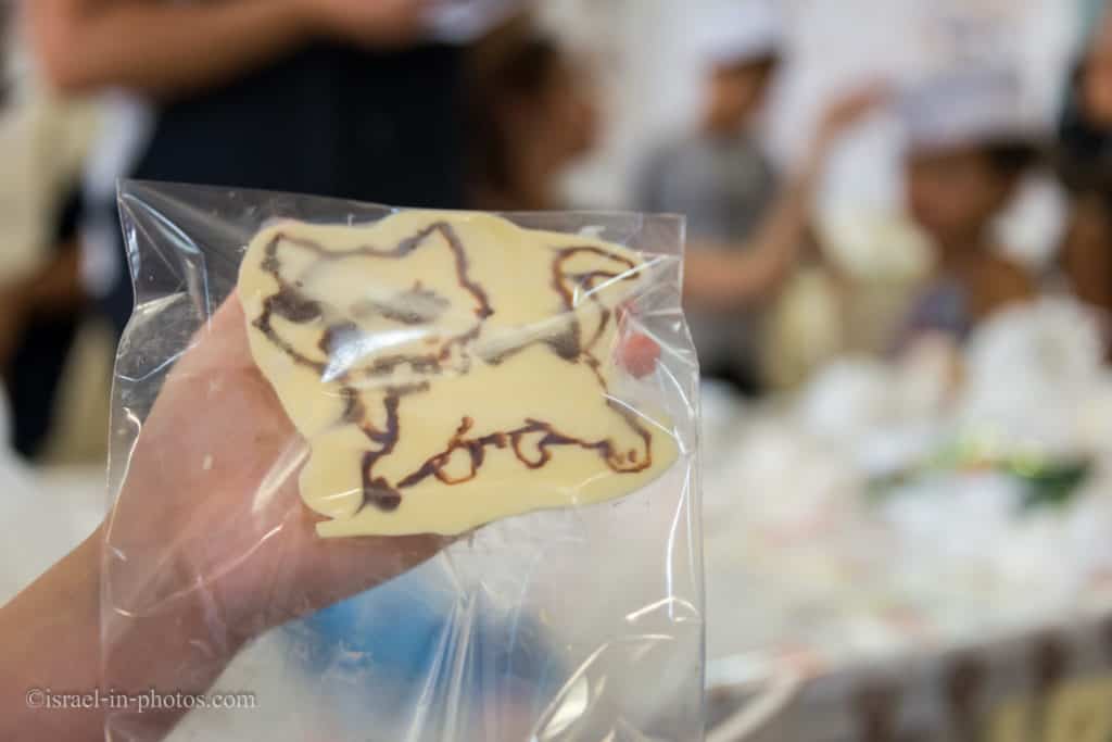 חתלתול שוקולד