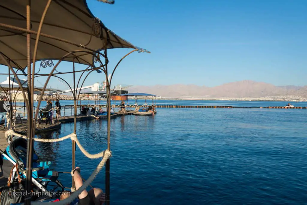 At the floating decks, Dolphin Reef