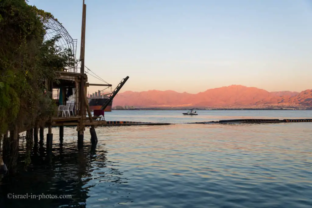 Dolphin Reef in Eilat