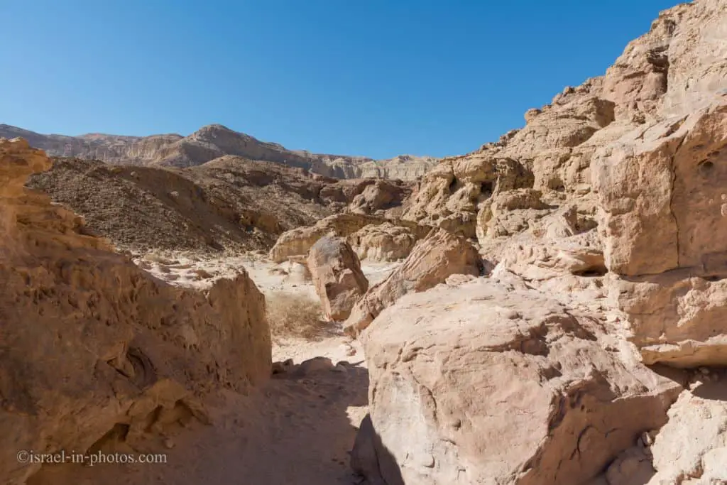 At Timna Park, near Eilat, Israel