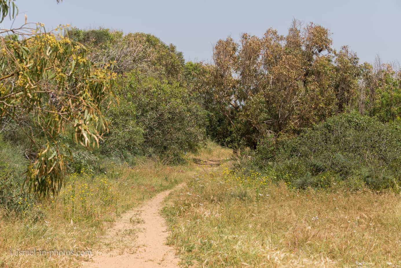 Sharon Beach National Park