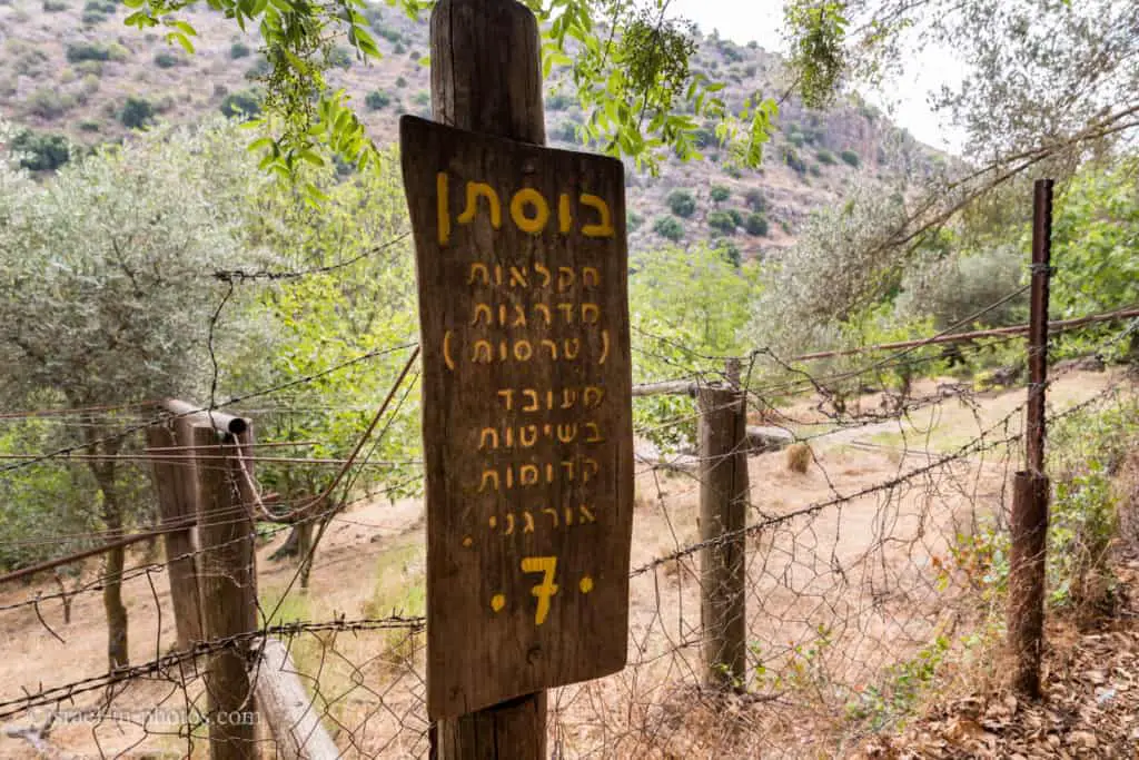 В заповеднике Амуде поток в северной части Израиля
