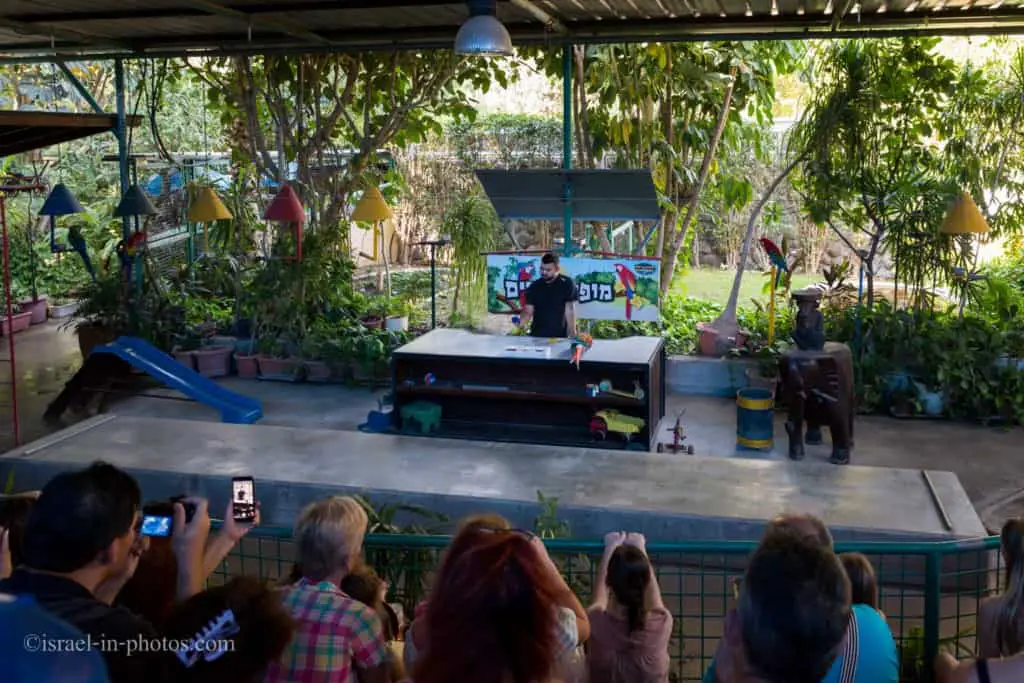 Parrot Show at Hamat Gader in Northern Israel