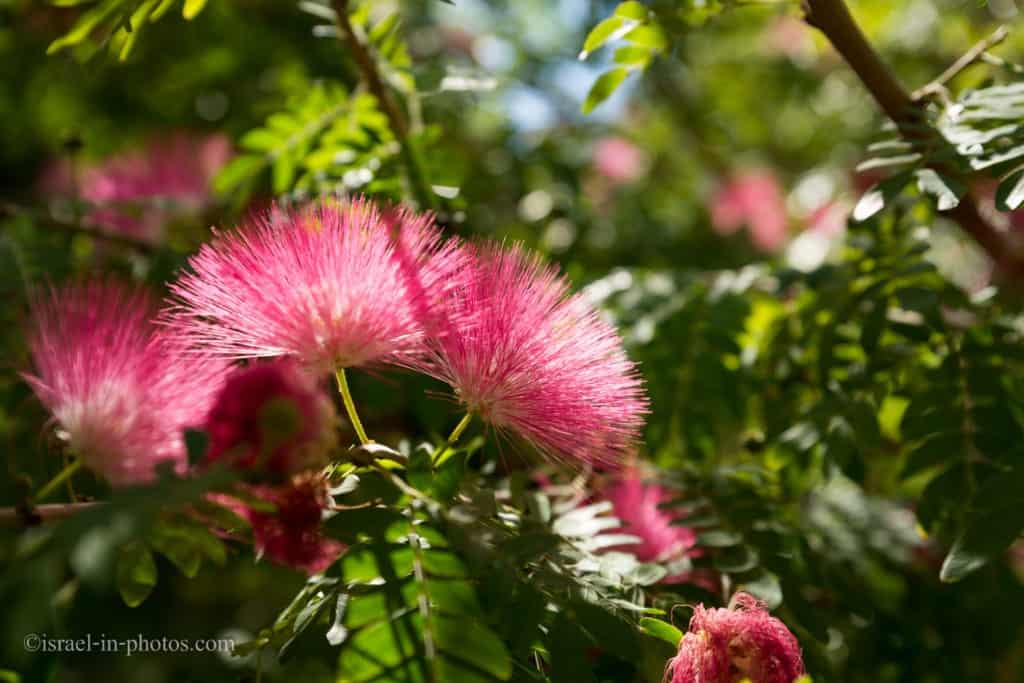 Hamat Gader in Northern Israel