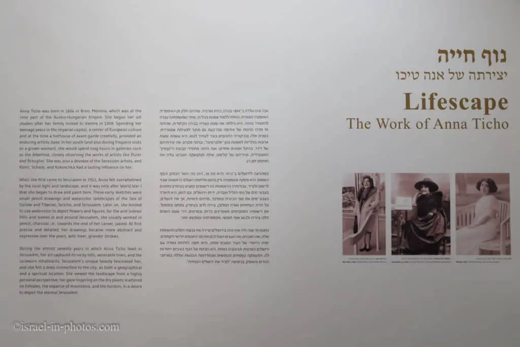 אנה טיכו