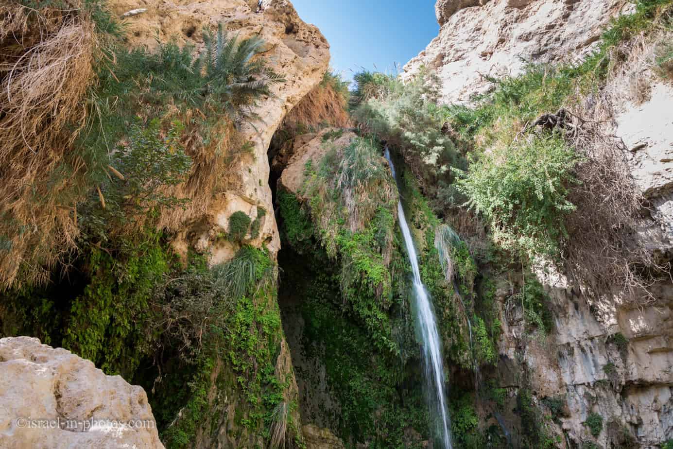 Ein Gedi Nature Reserve (with Map, Trails, Hikes, Weather, and More)