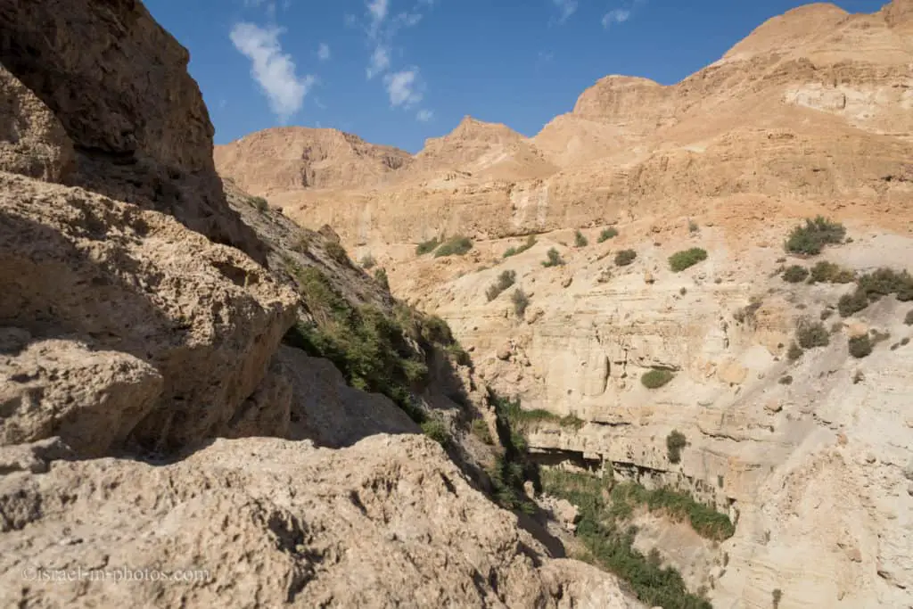 David Stream from above at Ein Gedi Nature Reserve