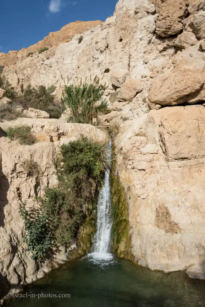 Lower Waterfall at Ein Gedi Nature Reserve