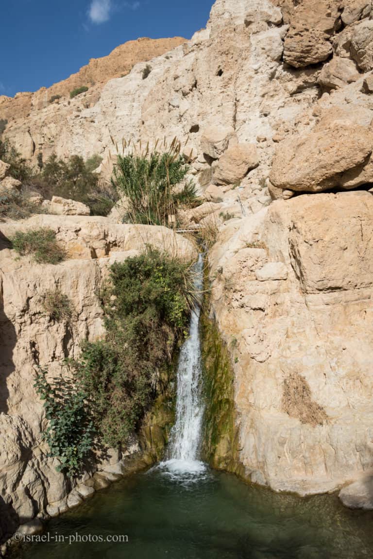 Ein Gedi Nature Reserve (with Map, Trails, Hikes, Weather, and More)