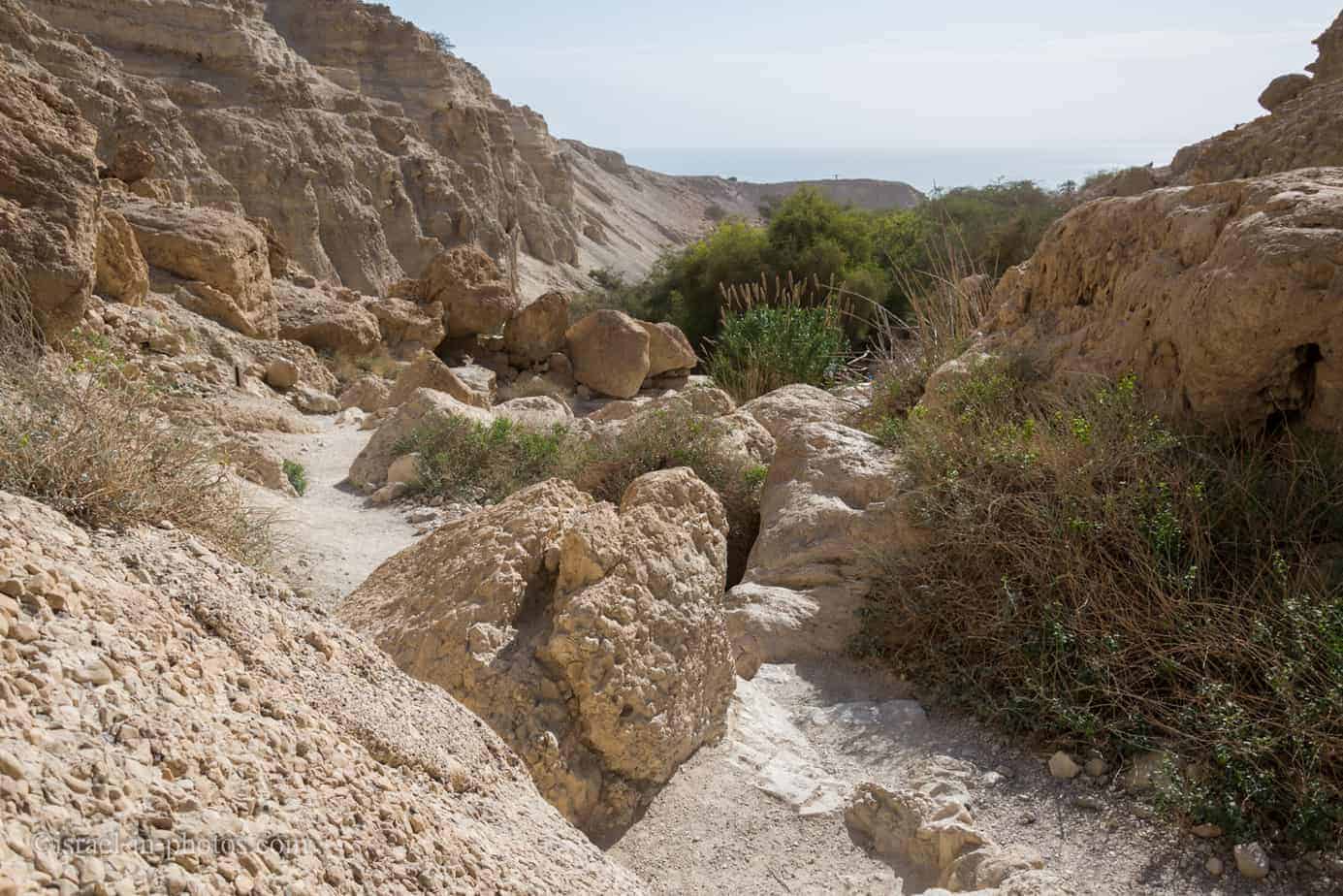 Ein Gedi Nature Reserve (with Map, Trails, Hikes, Weather, and More)