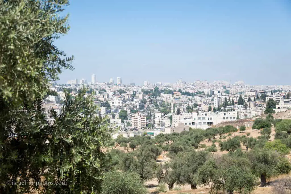 Jerusalem cityscape from Tzurim Valley National Park