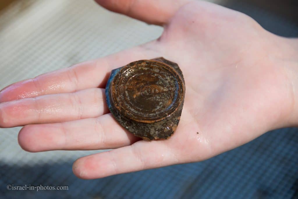 Our findings at Ancient Jerusalem Sifting Project