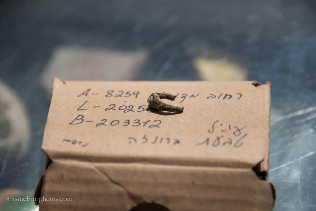 Earring at the Sifting Project
