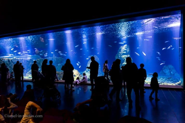 Israel Aquarium, Jerusalem Attraction for all Seasons