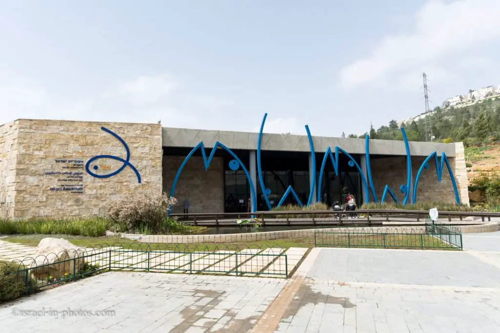 אקווריום ישראל בירושלים
