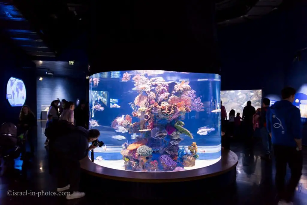 Israel Aquarium in Jerusalem