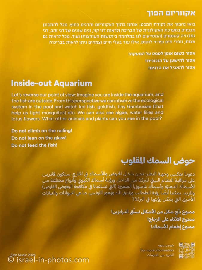 Inside-out Aquarium