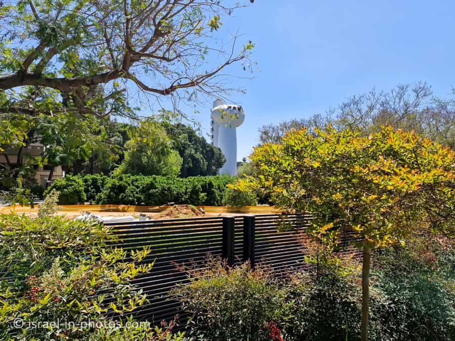 Weizmann Institute