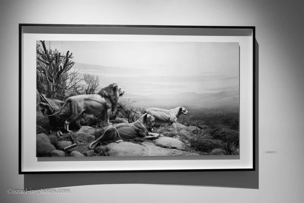 Hiroshi Sugimoto