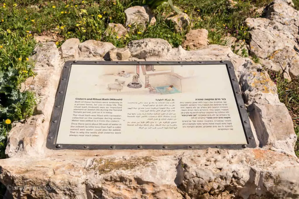 Cistern and Mikveh