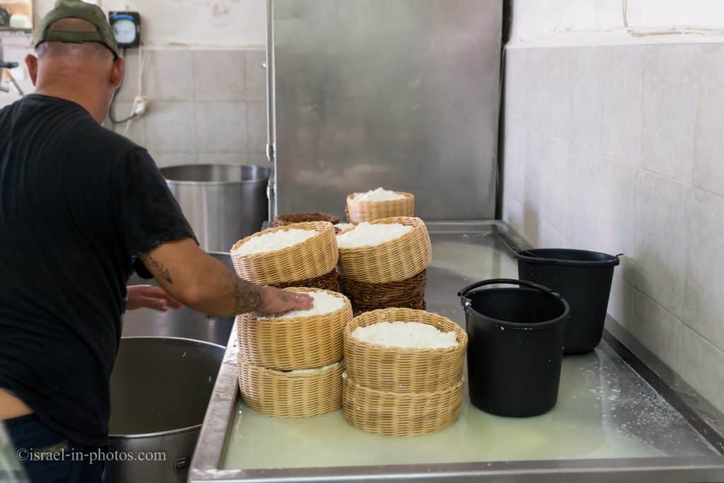 Safed Cheese at Kadosh Dairy