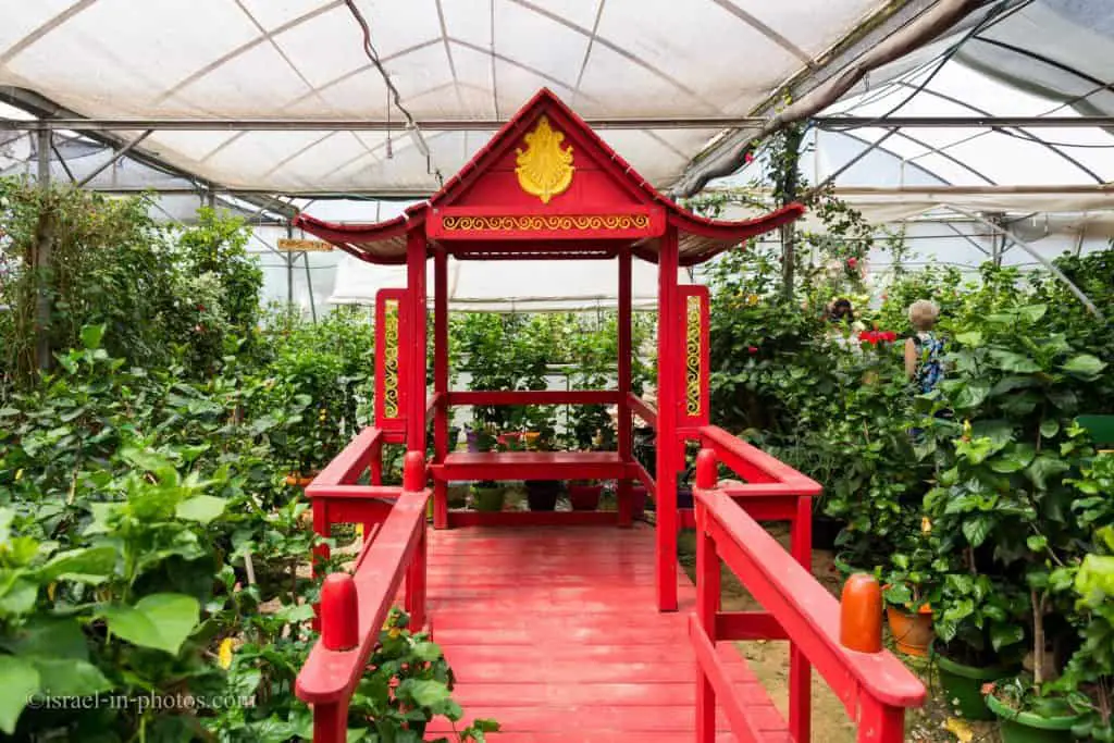 Pagoda at Hibiscus Farm