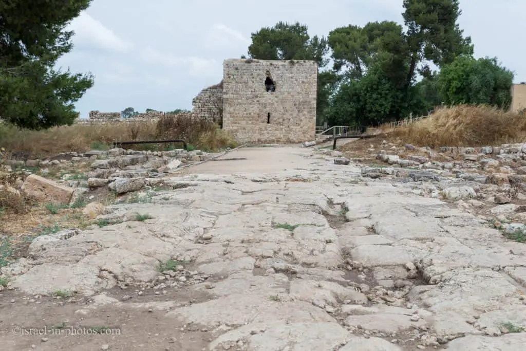 מבצר הקרדו ואנטיפטריס
