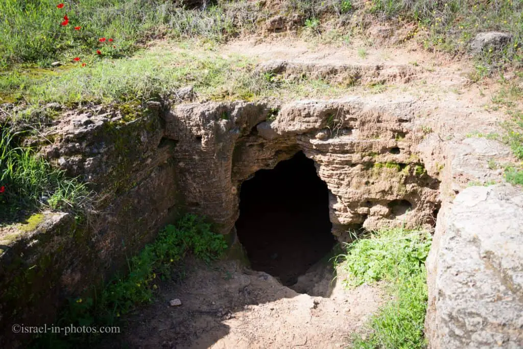 Пещеры Афека в Тель-Авиве