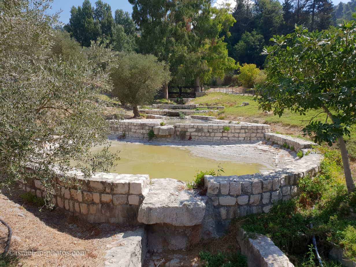 פארק עמק התכלת - צפת