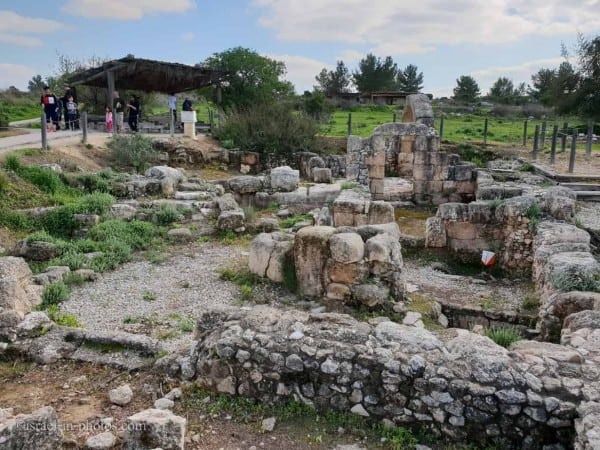 Neot Kedumim Park - Visitors Guide