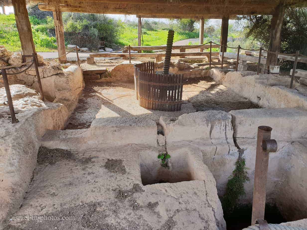 Neot Kedumim Park - Visitors Guide