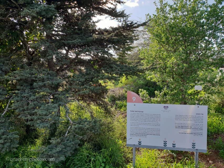 Neot Kedumim Park - Visitors Guide