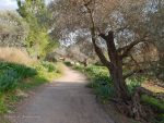 Neot Kedumim - Visitors Guide (with Map, Trails, Coupons, and More)