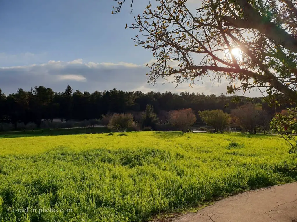 Neot Kedumim