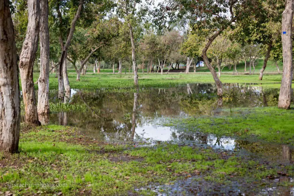 Yarkon Park