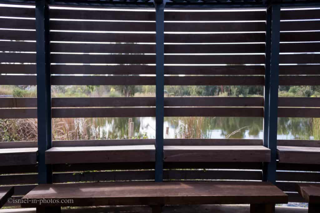 The Lookout