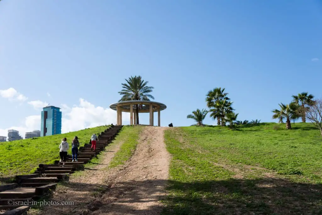 Palm viewpoint
