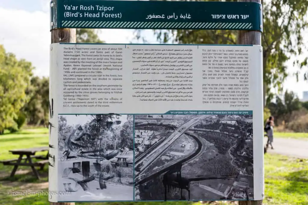 Rosh Tzipor Forest