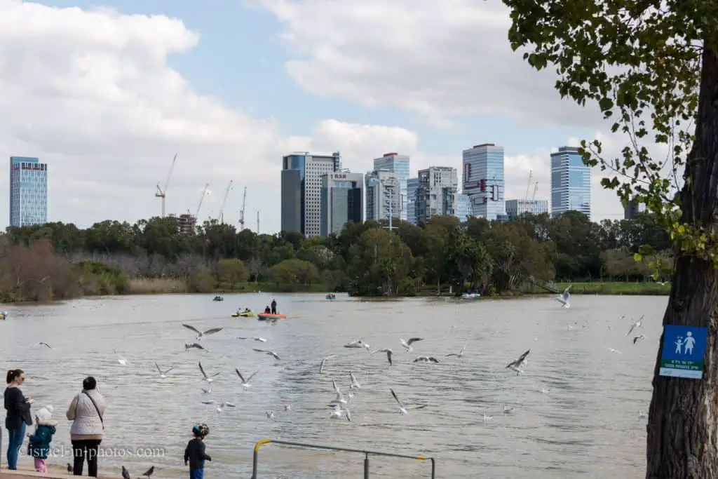 Park Lake at Yarkon Park