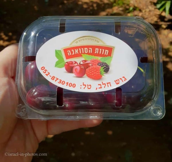 Savana Farm