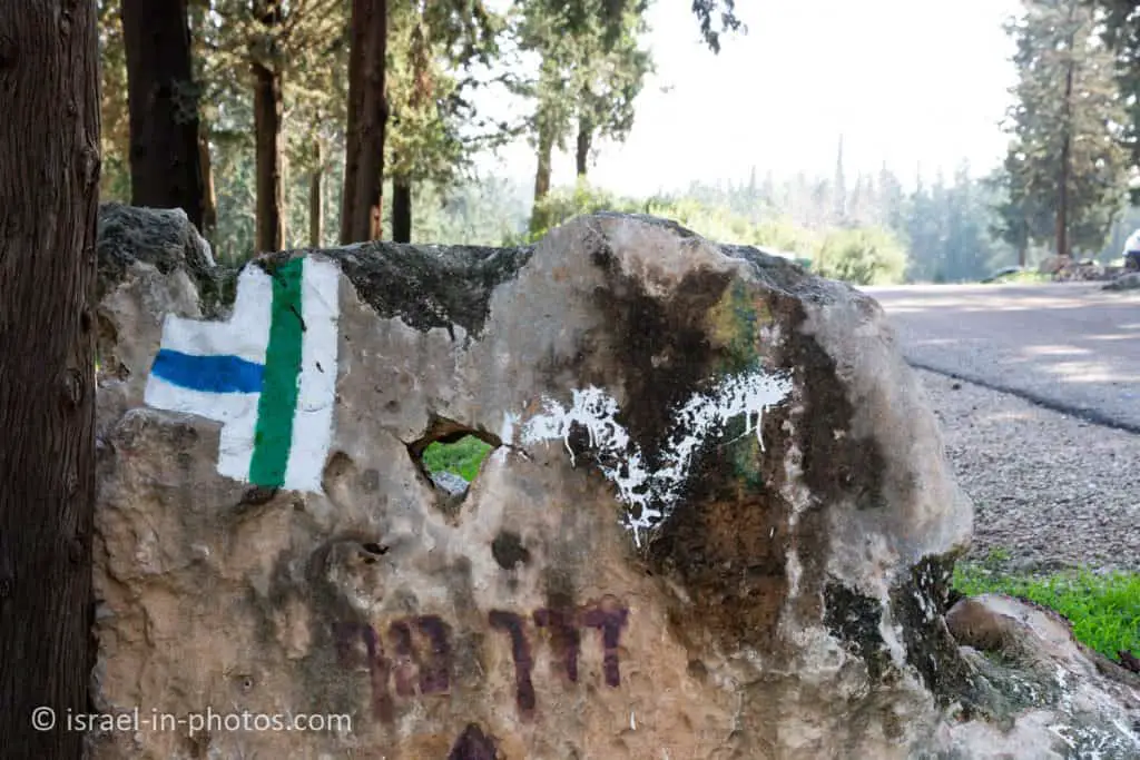 Kiryat Ata Forest