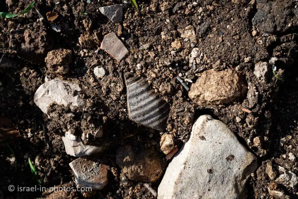 Remains